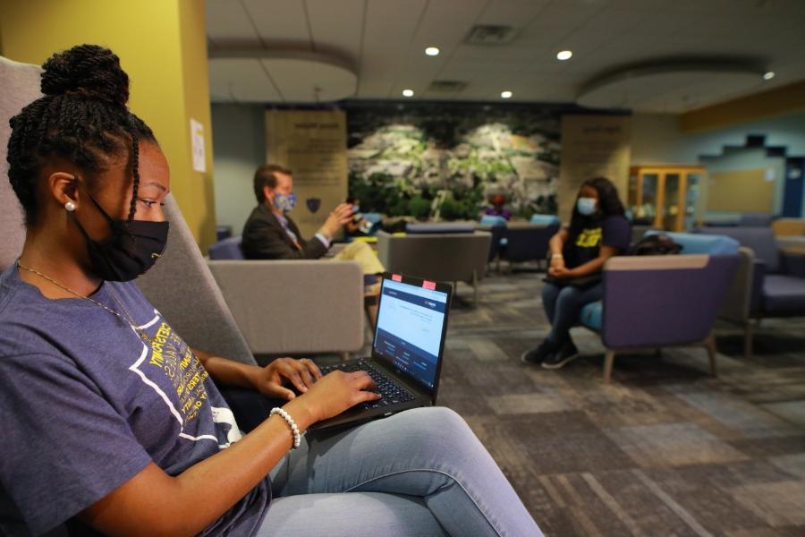 人们坐在卡尔森图书馆用笔记本电脑进行训练